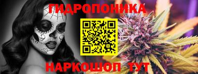 хмурый Тара