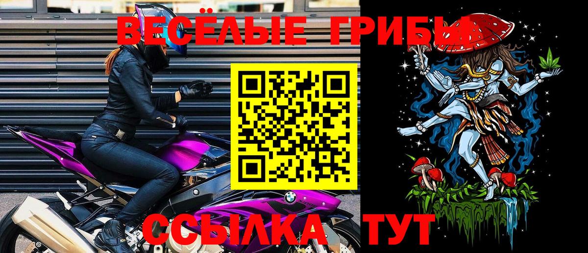 Галлюциногенные грибы Psilocybe Калуга